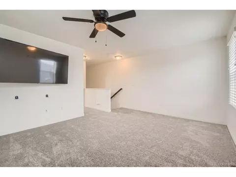 19167 E 54th Pl, Denver, CO 80249 photo 25
