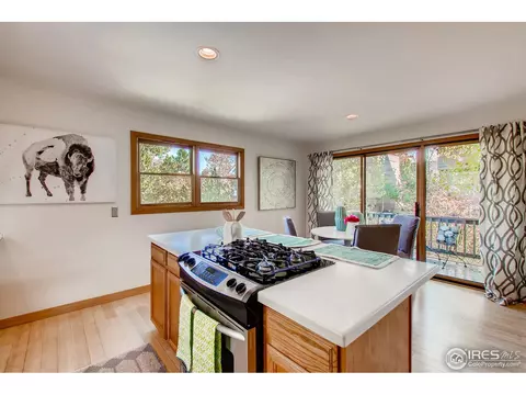 4110 Riverside Ave, Boulder, CO 80304 photo 17