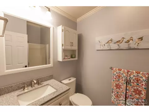225 Sandstone Ct, Windsor, CO 80550 photo 12