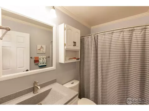 225 Sandstone Ct, Windsor, CO 80550 photo 14