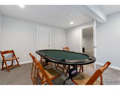1523 Sandy Ln, Windsor, CO 80550 photo 23
