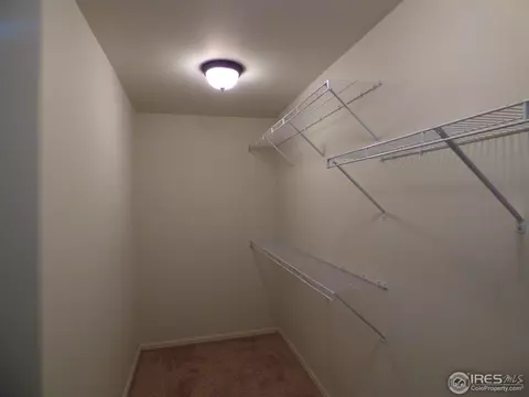 752 Dakota Way, Windsor, CO 80550 photo 11