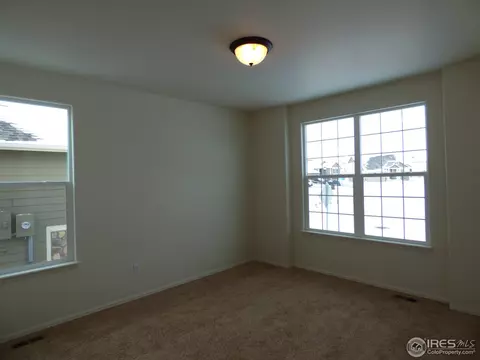 752 Dakota Way, Windsor, CO 80550 photo 6