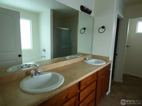 752 Dakota Way, Windsor, CO 80550 photo 9