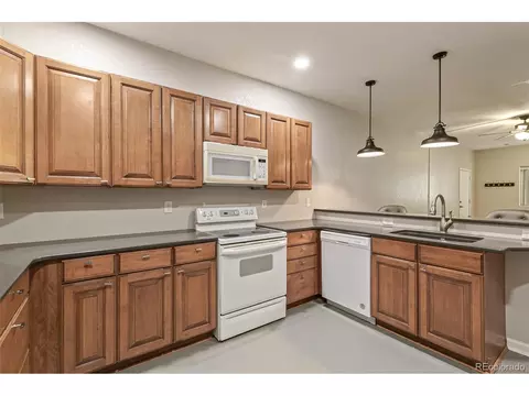 1325 Viewridge Rd, Bennett, CO 80102 photo 24