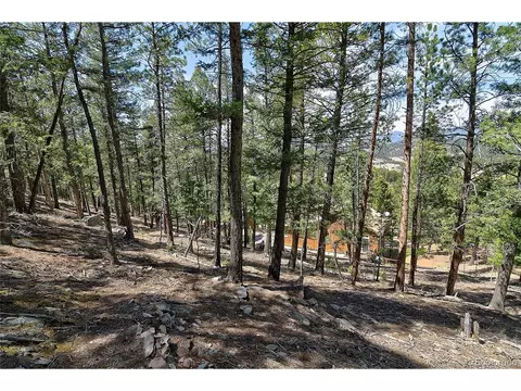 Exterior - 434 S Random Rd, Bailey, CO 80421 photo 6 of 8