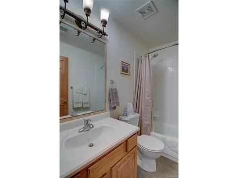Bath - 434 S Random Rd, Bailey, CO 80421 photo 6 of 6