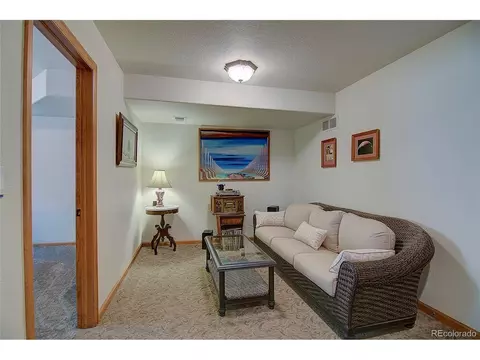 Other - 434 S Random Rd, Bailey, CO 80421 photo 9 of 13