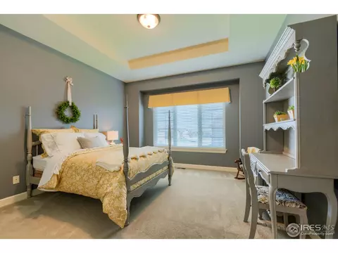 5990 Bay Meadows Dr, Windsor, CO 80550 photo 22