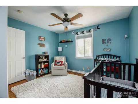 528 Oak St, Windsor, CO 80550 photo 28