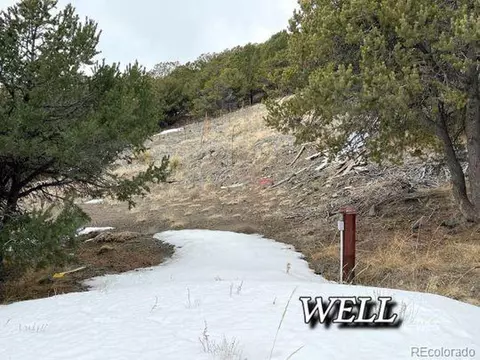 950 Haven Rd, Westcliffe, CO 81252 photo 31
