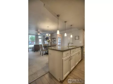 6650 Crystal Downs Dr #104, Windsor, CO 80550 photo 22