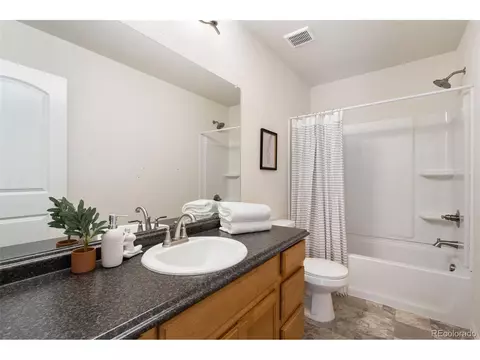 944 Scotch Pine Dr, Severance, CO 80550 photo 30