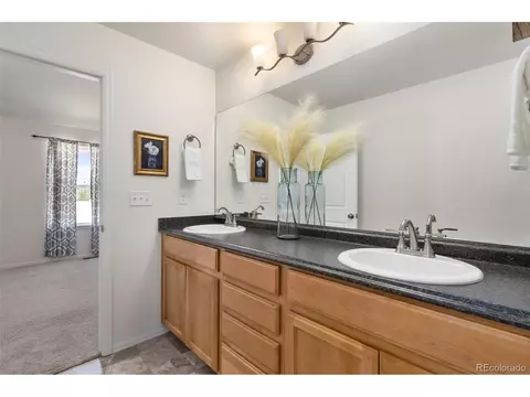 944 Scotch Pine Dr, Severance, CO 80550 photo 24