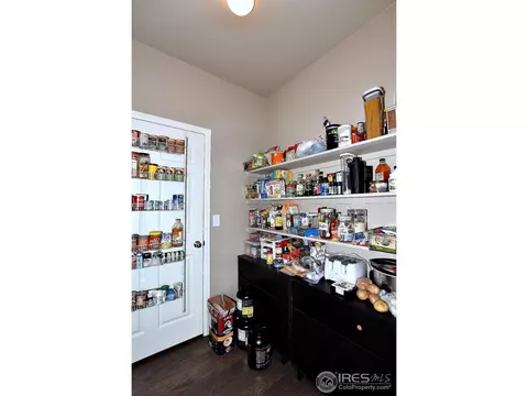 1523 Highfield Ct, Windsor, CO 80550 photo 13