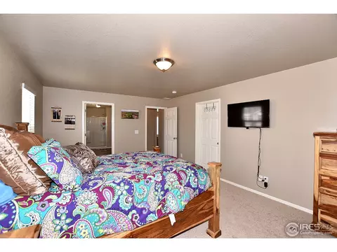 1523 Highfield Ct, Windsor, CO 80550 photo 22