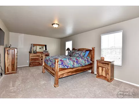 1523 Highfield Ct, Windsor, CO 80550 photo 20