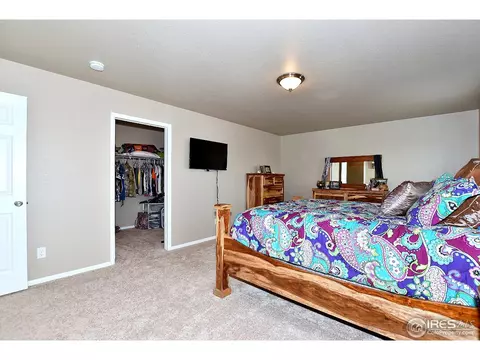 1523 Highfield Ct, Windsor, CO 80550 photo 21