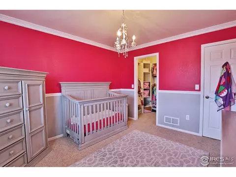 405 Prairie Clover Way, Severance, CO 80550 photo 23