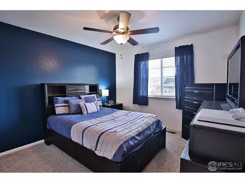 405 Prairie Clover Way, Severance, CO 80550 photo 21