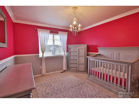 405 Prairie Clover Way, Severance, CO 80550 photo 22