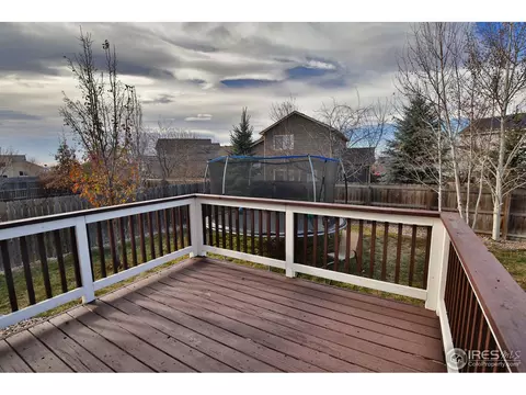 405 Prairie Clover Way, Severance, CO 80550 photo 29
