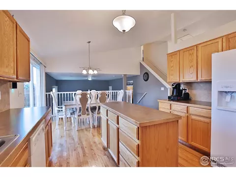 405 Prairie Clover Way, Severance, CO 80550 photo 8