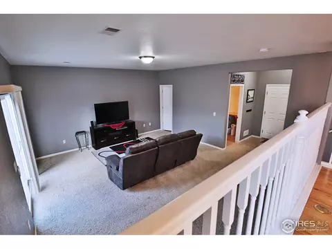 405 Prairie Clover Way, Severance, CO 80550 photo 13