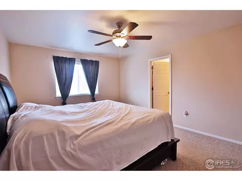 405 Prairie Clover Way, Severance, CO 80550 photo 24