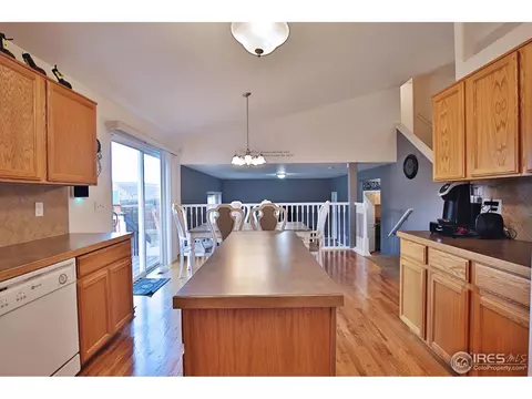 405 Prairie Clover Way, Severance, CO 80550 photo 6