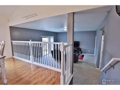 405 Prairie Clover Way, Severance, CO 80550 photo 14