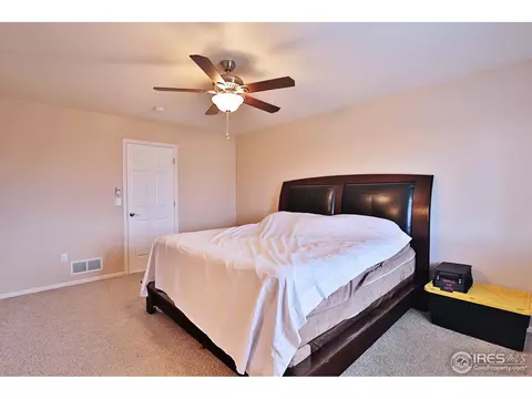 405 Prairie Clover Way, Severance, CO 80550 photo 25