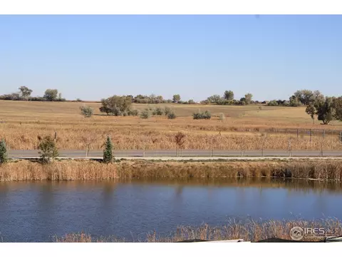 3134 Laminar Ct, Timnath, CO 80547 photo 5