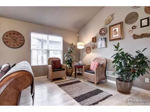 357 Whitney Bay, Windsor, CO 80550 photo 10