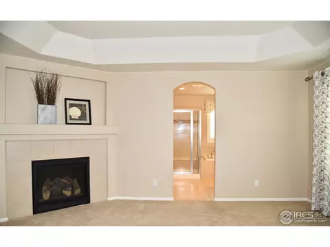 8005 E 124th Dr, Thornton, CO 80602 photo 21