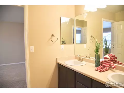 8005 E 124th Dr, Thornton, CO 80602 photo 25
