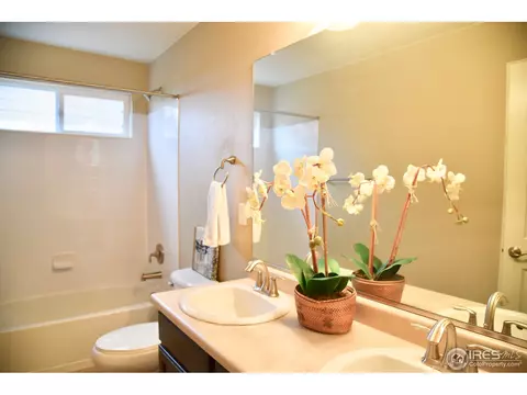 8005 E 124th Dr, Thornton, CO 80602 photo 24