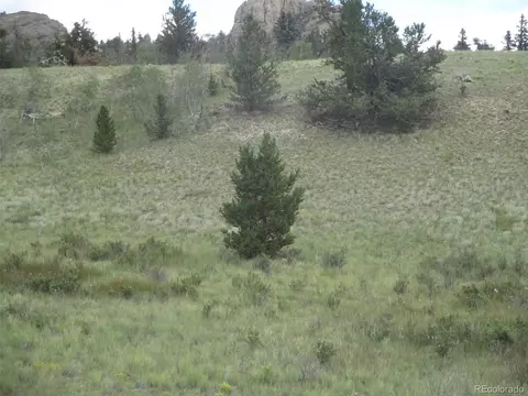 923 Warrior Cir, Como, CO 80432 photo 5