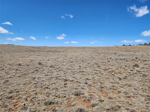 244 Brahma Cir, Hartsel, CO 80449