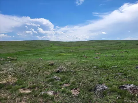 Undisclosed, Agate, CO 80101 photo 5