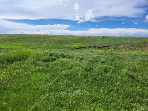 Undisclosed, Agate, CO 80101 photo 29