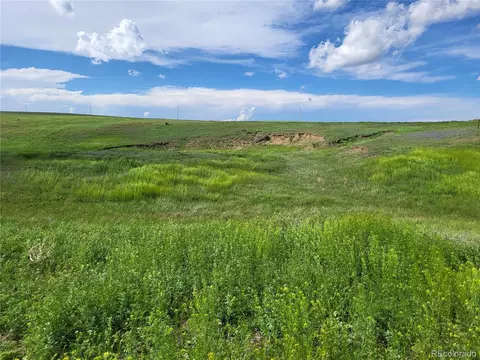 Undisclosed, Agate, CO 80101 photo 28
