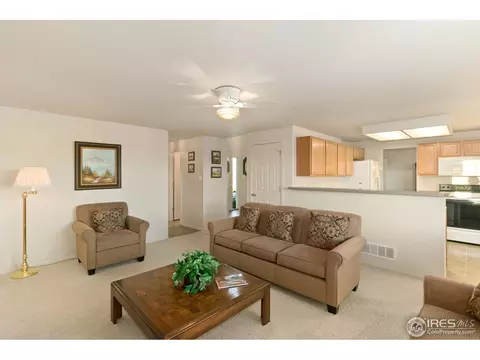 5402 Fox Run Blvd, Frederick, CO 80504 photo 9