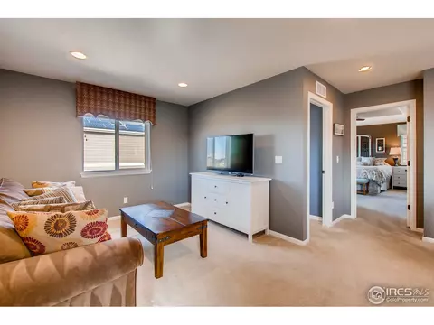 3315 E 141st Ave, Thornton, CO 80602 photo 22