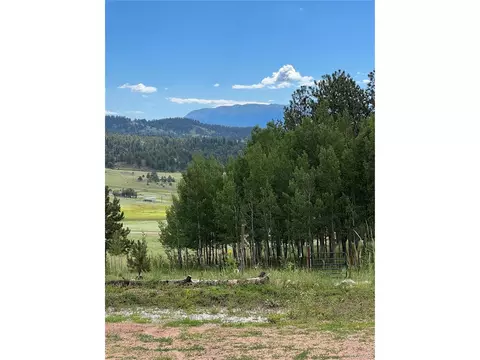 286 Cambell Ln, Florissant, CO 80816