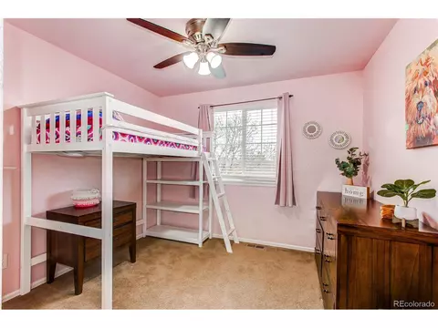 568 Botley Ct, Windsor, CO 80550 photo 24
