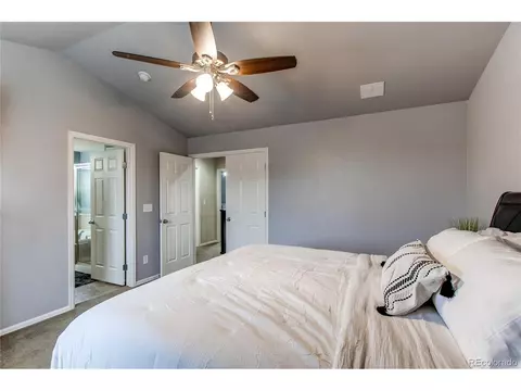 568 Botley Ct, Windsor, CO 80550 photo 18