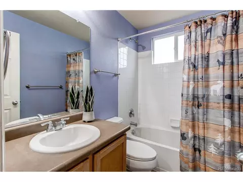 568 Botley Ct, Windsor, CO 80550 photo 25