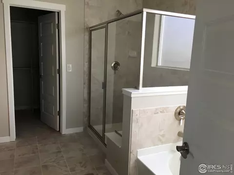 2116 Honeybee Dr, Windsor, CO 80550 photo 5