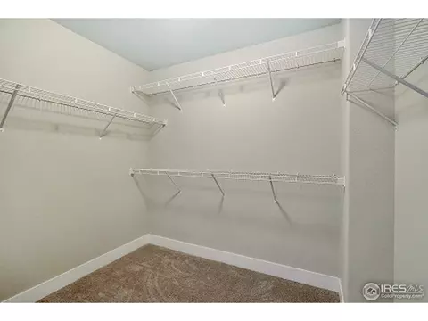 978 Mt Andrew Dr, Windsor, CO 80550 photo 15